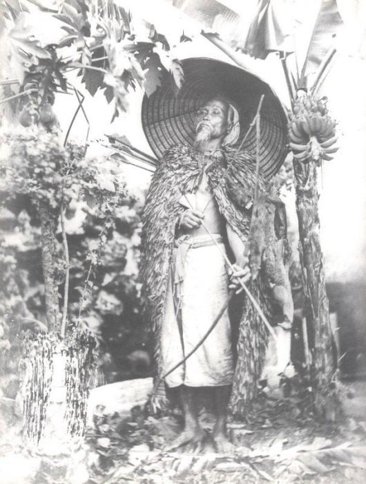 áo tơi là gì,áo tơi,áo làm bằng lá cây