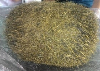 Cát lợn là gì,cát lợn,trư cát,trư sa cát lợn,trư sa cát lợn là gì,cát lợn quý như thế nào,sỏi mật ở lợn