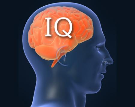 IQ là gì,EQ là gì,chỉ số thông minh IQ,chỉ số cảm xúc EQ,chỉ số thông minh,chỉ số cảm xúc,chỉ số IQ trung bình là bao nhiêu,cách tính chỉ số IQ,IQ,EQ,intelligence quotient,Emotional Quotient