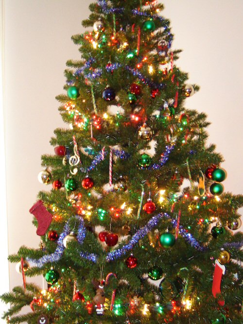 Cây Giáng sinh,cây thông Noel,cây thông Noel,cây thông Nô-en