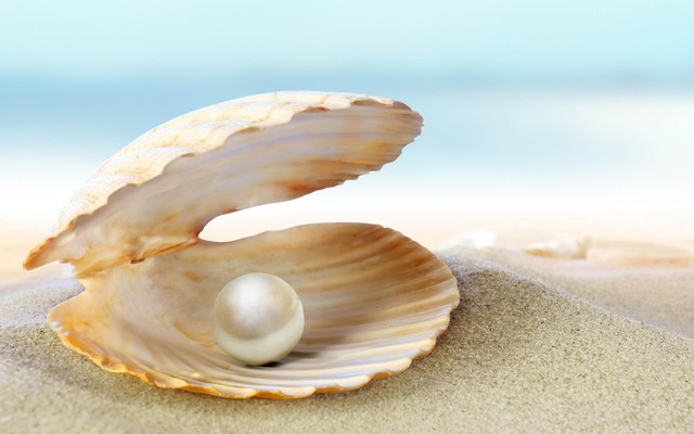 Ngọc trai là gì,ngọc trai,trân châu,trân châu là gì,các loại ngọc trai,viên ngọc trai lớn nhất thế giới,ngọc ốc,ngọc trai tự nhiên,ngọc trai nuôi,ngọc trai Phú Quốc