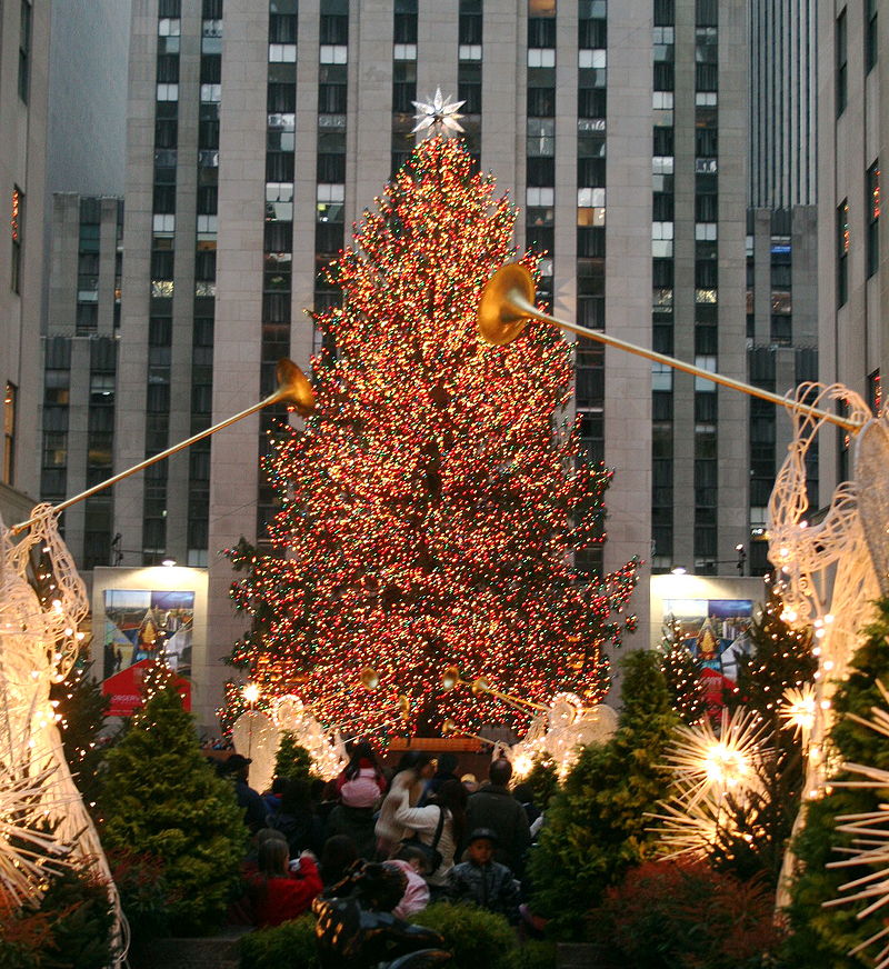 Cây Giáng sinh,cây thông Noel,cây thông Noel,cây thông Nô-en