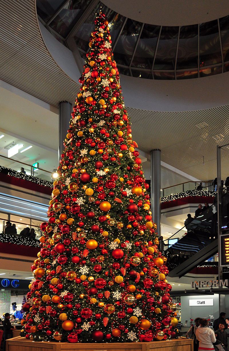 Cây Giáng sinh,cây thông Noel,cây thông Noel,cây thông Nô-en