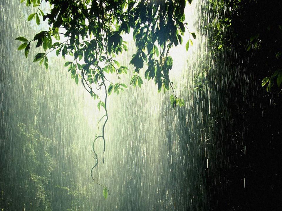 Mưa nhân tạo là gì,mưa nhân tạo,cách tạo mưa nhân tạo,tạo mưa nhân tạo như thế nào,có mưa nhân tạo hay không