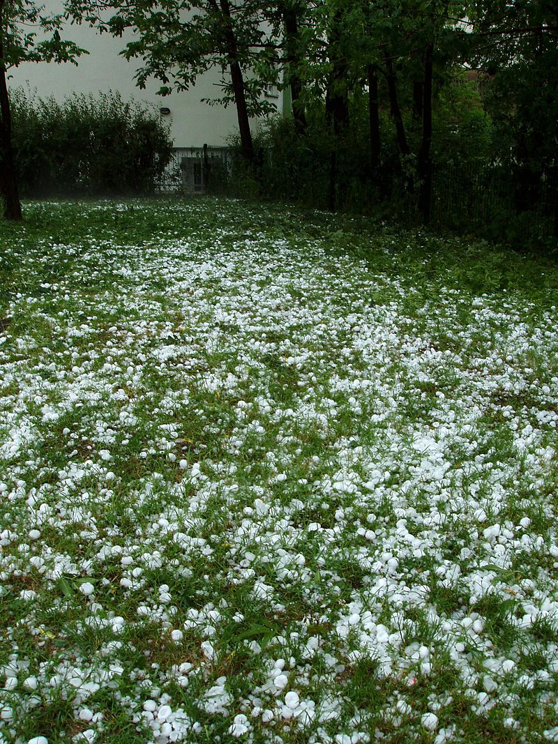 Mưa đá là gì,mưa đá,hình ảnh mưa đá,hail,trận mưa đá