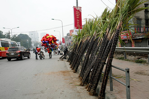 hai cây mía bên bàn thờ ngày Tết để làm gì,cây mía ngày Tết,mua mía ngày Tết để làm gì,ý nghĩa của hai cây mía bên bàn thờ ngày Tết,vì sao lại mua hai cây mía để bên bàn thờ ngày Tết