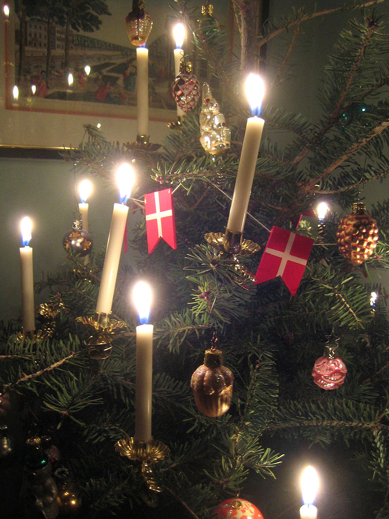 Cây Giáng sinh,cây thông Noel,cây thông Noel,cây thông Nô-en