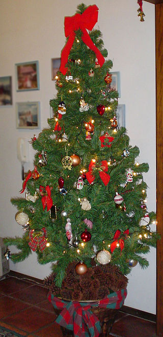 Cây Giáng sinh,cây thông Noel,cây thông Noel,cây thông Nô-en