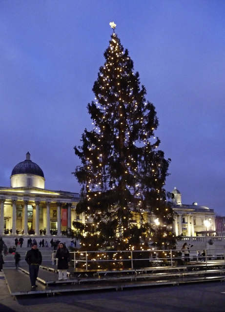 Cây Giáng sinh,cây thông Noel,cây thông Noel,cây thông Nô-en