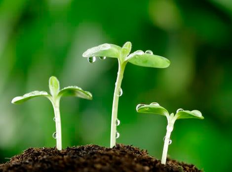 Người sống đống vàng có nghĩa là gì,người sống đống vàng,giải thích câu tục ngữ người sống đống vàng,người sống đống vàng,Bàn tay ta làm nên tất cả,Có sức người sỏi đá cũng thành cơm,người sống là đống vàng,người sống là đống tiền