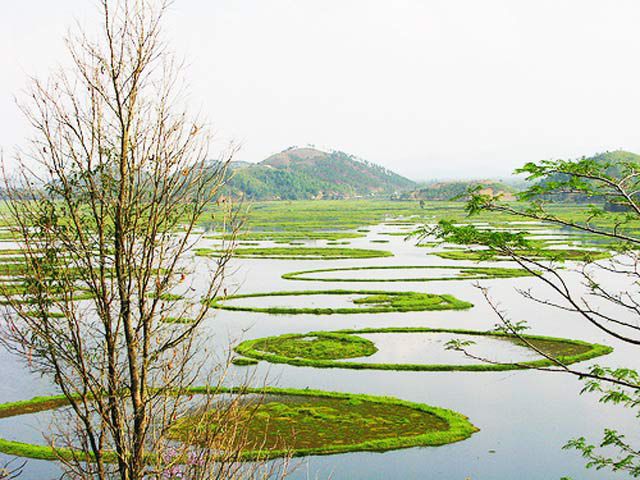 Những hồ nước đẹp nhất thế giới,hồ nước,10 hồ nước đẹp nhất thế giới,phong cảnh đẹp,Hồ Loktak - Ấn Độ