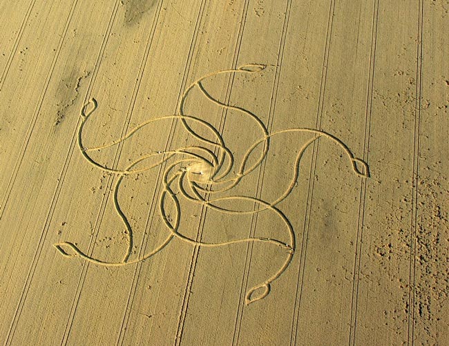 Những vòng tròn bí ẩn trên cánh đồng,Vòng tròn bí ẩn,Bí ẩn Crop circle,Crop circle,Kiệt tác trên cánh đồng
