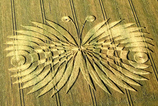 Những vòng tròn bí ẩn trên cánh đồng,Vòng tròn bí ẩn,Bí ẩn Crop circle,Crop circle,Kiệt tác trên cánh đồng
