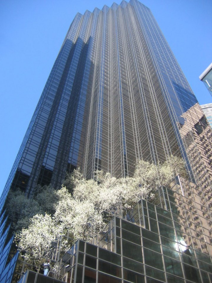 Tòa tháp mang tên Trump,Tháp Trump,Trump Tower