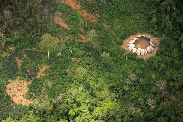 Bộ lạc Amazon,Bộ lạc Yanomami,Bộ lạc