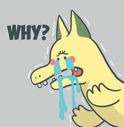 Rồng Pikachu là gì,PikaDragon là gì,PikaDragon,Rồng Pikachu Hải Phòng,hình ảnh rồng Pikachu