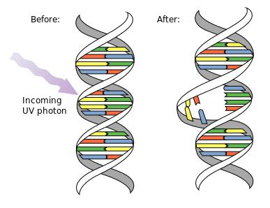 Tia cực tím là gì,Tia tử ngoại là gì,Tia UV là gì,Tia cực tím,Tia tử ngoại,Tia UV,Ultraviolet,Tác hại của tia cực tím,Lợi ích của tia cực tím,Bức xạ HEV,Tia UVC,Tia UVB,Tia UVA