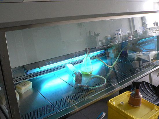 Tia cực tím là gì,Tia tử ngoại là gì,Tia UV là gì,Tia cực tím,Tia tử ngoại,Tia UV,Ultraviolet,Tác hại của tia cực tím,Lợi ích của tia cực tím,Bức xạ HEV,Tia UVC,Tia UVB,Tia UVA
