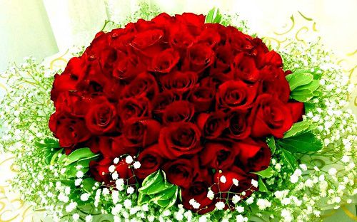 Ngày 8/3 không biết tặng món quà gì cho cô giáo và người thân đây ta,tặng quà gì cho cô giáo ngày 8/3,tặng quà gì ngày 8/3,tặng quà gì ngày Quốc tế phụ nữ 8/3,ngày Quốc tế phụ nữ 8/3