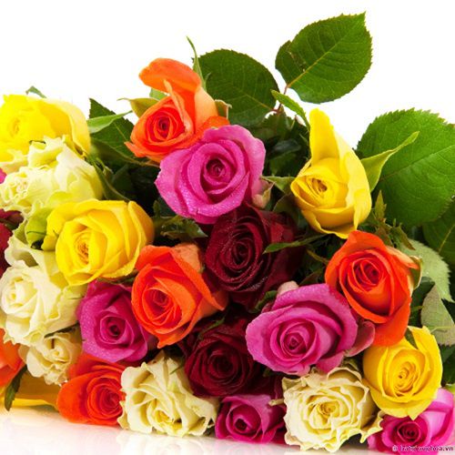 Ngày 8/3 không biết tặng món quà gì cho cô giáo và người thân đây ta,tặng quà gì cho cô giáo ngày 8/3,tặng quà gì ngày 8/3,tặng quà gì ngày Quốc tế phụ nữ 8/3,ngày Quốc tế phụ nữ 8/3