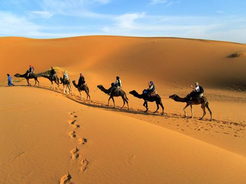 Sa mạc lời là gì,Sa mạc lời,Cạn lời là gì,Cạn lời