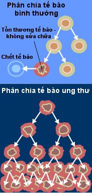 Ung thư là gì,Ung thư,bệnh ung thư là gì,bệnh ung thư,câu hỏi y học,cancer,what is cancer