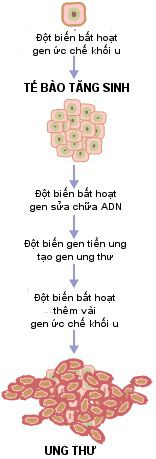 Ung thư là gì,Ung thư,bệnh ung thư là gì,bệnh ung thư,câu hỏi y học,cancer,what is cancer