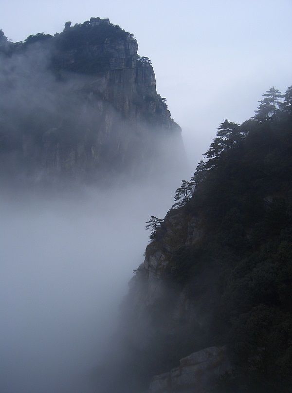 Vì sao lại có sương mù,Tại sao lại có sương mù,sương mù là gì,sương mù,nguyên nhân có sương mù,phân loại sương mù,các loại sương mù,Sương mù bức xạ,Sương mù gió,Sương mù hơi,Sương mù ngưng đọng,Sương mù núi,Sương mù thung lũng,Sương mù băng