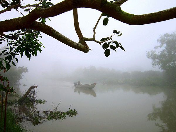Vì sao lại có sương mù,Tại sao lại có sương mù,sương mù là gì,sương mù,nguyên nhân có sương mù,phân loại sương mù,các loại sương mù,Sương mù bức xạ,Sương mù gió,Sương mù hơi,Sương mù ngưng đọng,Sương mù núi,Sương mù thung lũng,Sương mù băng