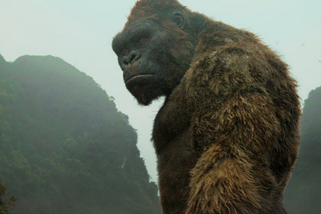 Kong - Skull Island,Kong - Đảo Đầu lâu