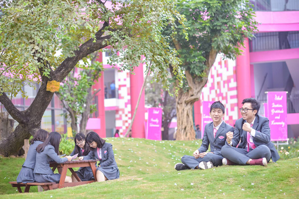 Trường TH,TH School,Trường học tiêu chuẩn quốc tế