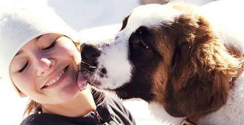 la liếm là gì,người la liếm có biểu hiện như nào,thế nào là la liếm,la liếm