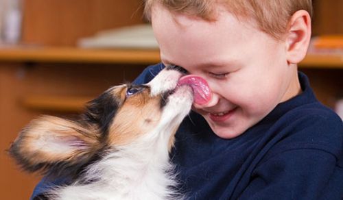 la liếm là gì,người la liếm có biểu hiện như nào,thế nào là la liếm,la liếm