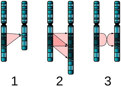 Tự kỷ là gì,tự kỷ,autism,What is autism,bệnh tự kỷ là gì,bệnh tự kỷ