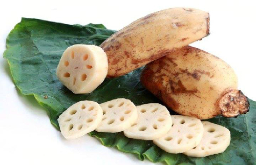 Ngó sen là gì,ngó sen,thân rễ cây sen,củ sen,công dụng của ngó sen,tác dụng của ngó sen,ngó sen dùng làm thuốc,các bài thuốc từ ngó sen