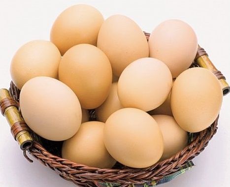 trứng gà,vì sao trứng có hình tròn