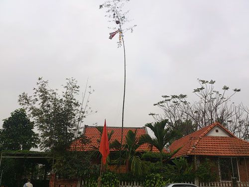Cây nêu ngày Tết