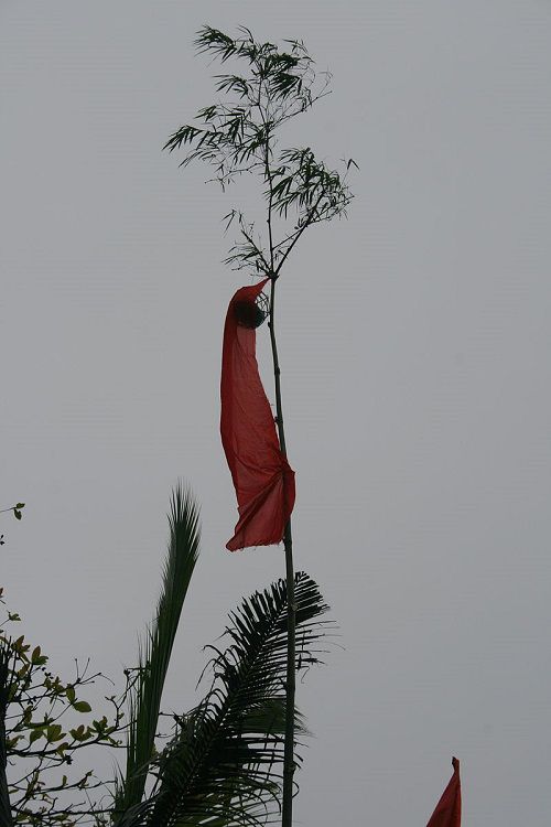 Cây nêu ngày Tết