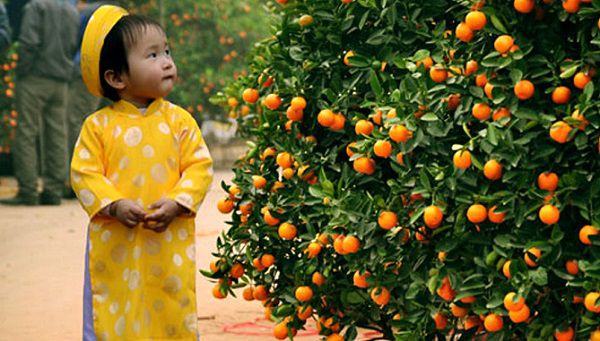Tết - Một ngày mà tôi không thể quên,Tết Nguyên Đán