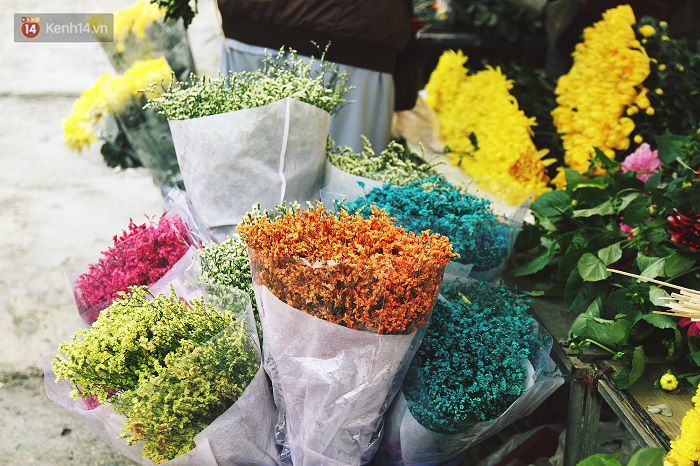 Làng đào Nhật Tân: Hoa đào có kịp nở Tết,Đào Nhật Tân,Làng đào Tết Nhật Tân,Hoa đào ngày Tết