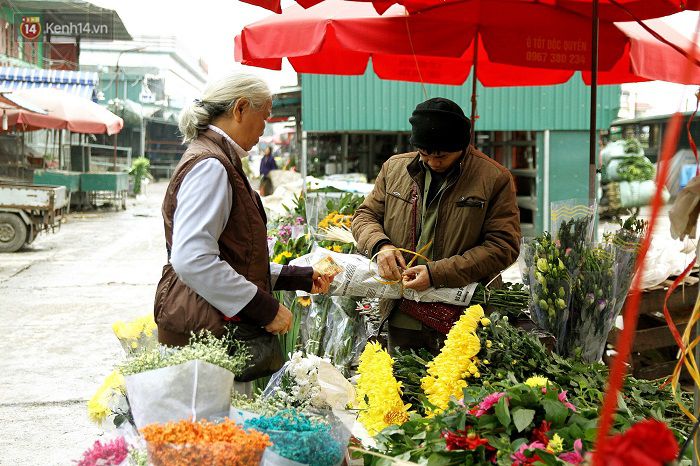 Làng đào Nhật Tân: Hoa đào có kịp nở Tết,Đào Nhật Tân,Làng đào Tết Nhật Tân,Hoa đào ngày Tết