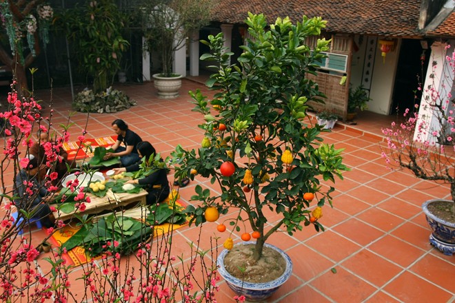 Gói bánh chưng,Tết Nguyên đán,Tết cổ truyền