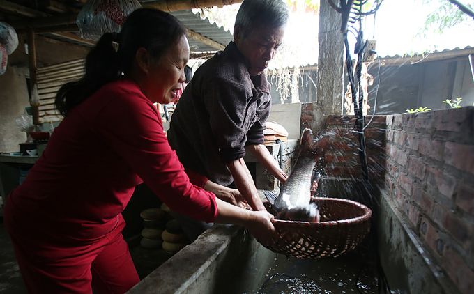 Cá kho làng Vũ Đại,Cá kho làng Vũ Đại dịp Tết