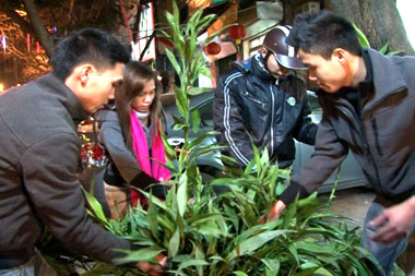hái lộc đầu năm là gì,hái lộc đầu năm,ý nghĩa của tục hái lộc,ý nghĩa của hái lộc đầu năm,hái lộc đầu xuân,hái lộc đầu xuân là gì,hái lộc,cành lộc,ý nghĩa của cành lộc,Tết nguyên đán,ngày Tết,Tết
