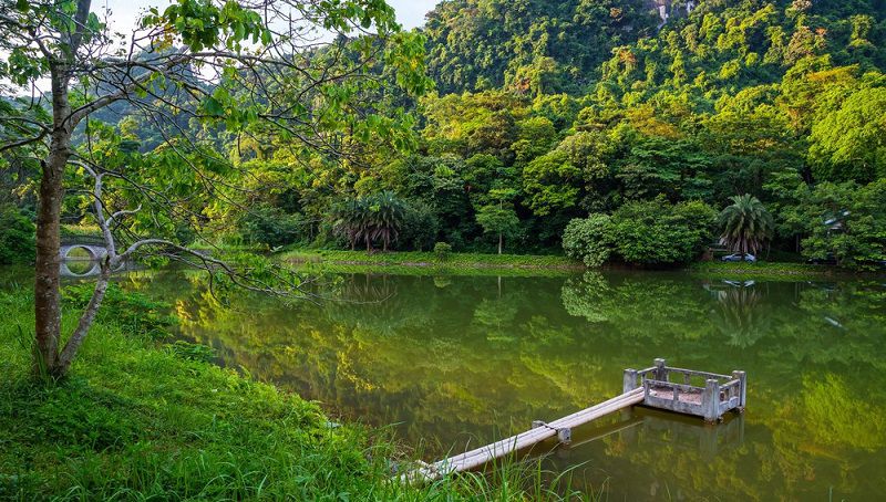 Rừng Cúc Phương