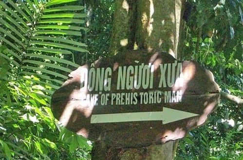 Rừng Cúc Phương