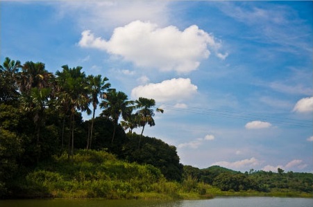 Đầm Ao Châu