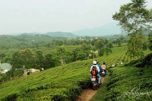 Xuân Sơn thơ mộng và thanh bình