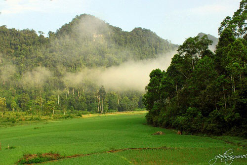 Xuân Sơn thơ mộng và thanh bình