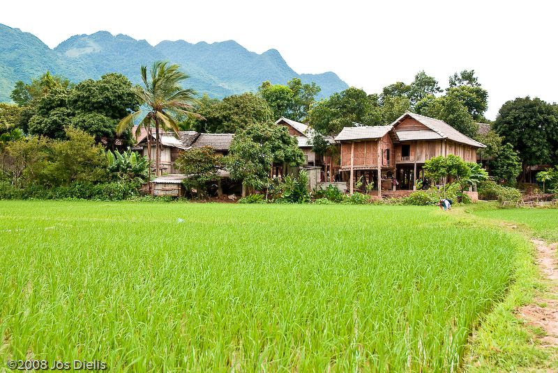Thôn quê tại Mai Châu